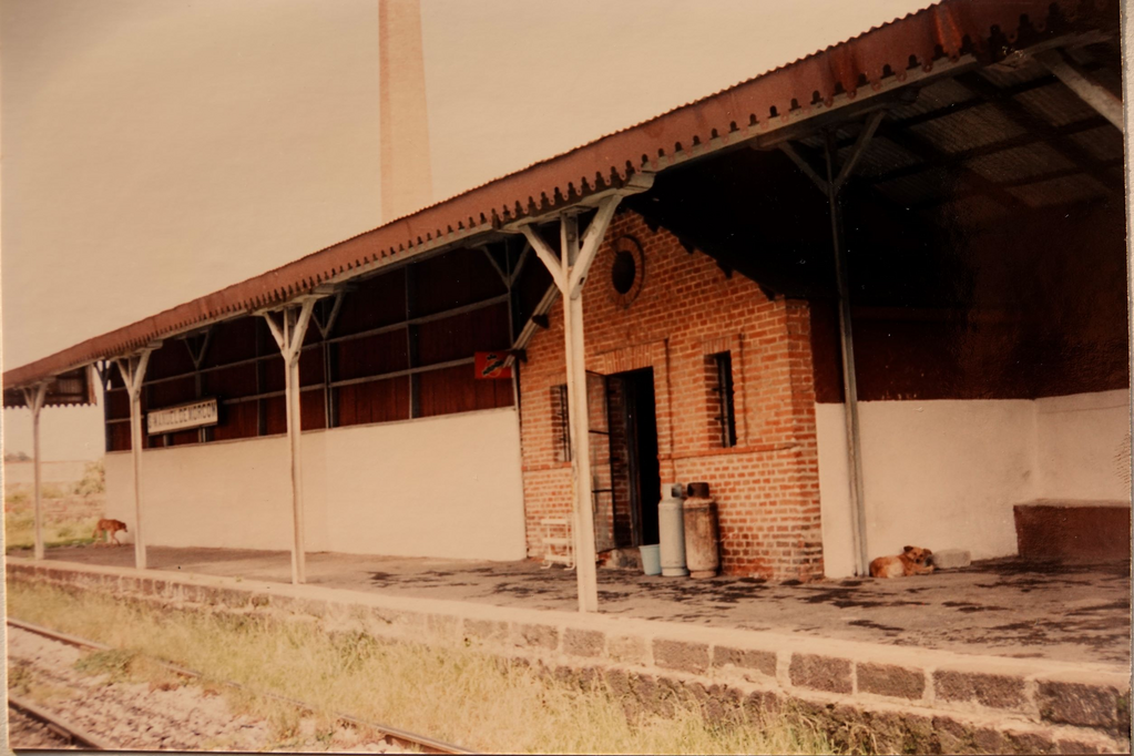 imagen2