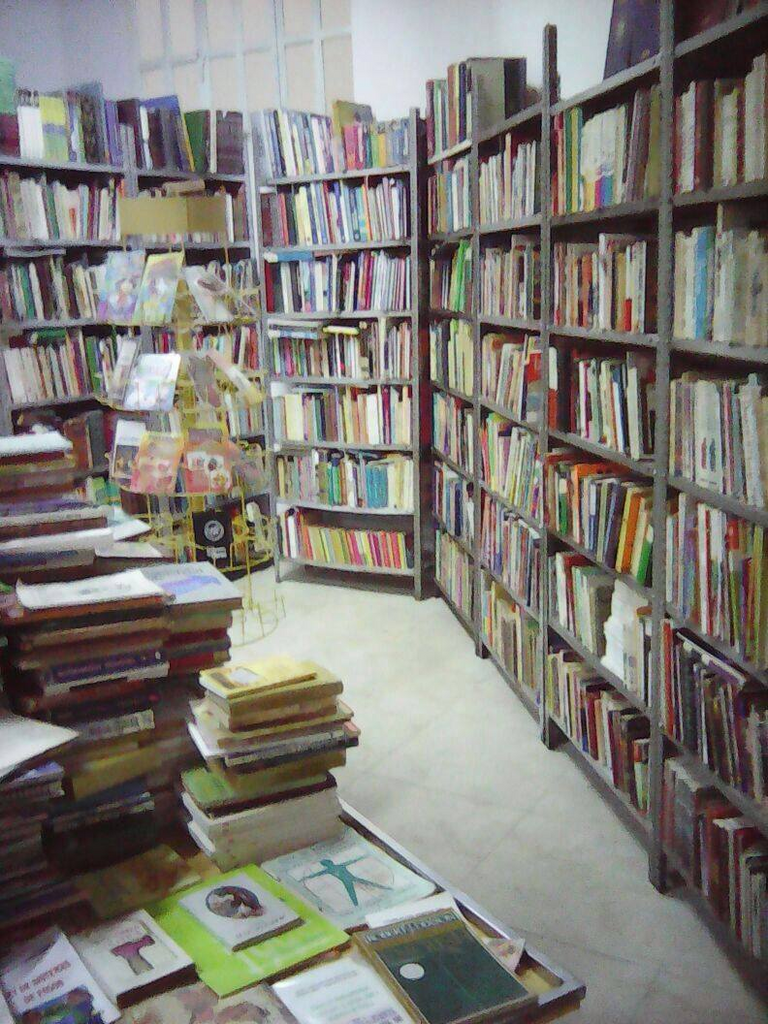 imagen2