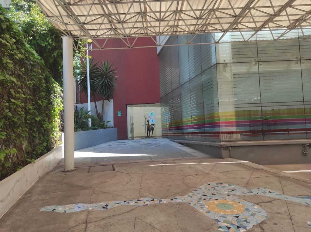 imagen2