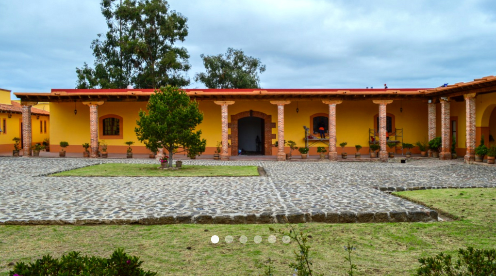 imagen1