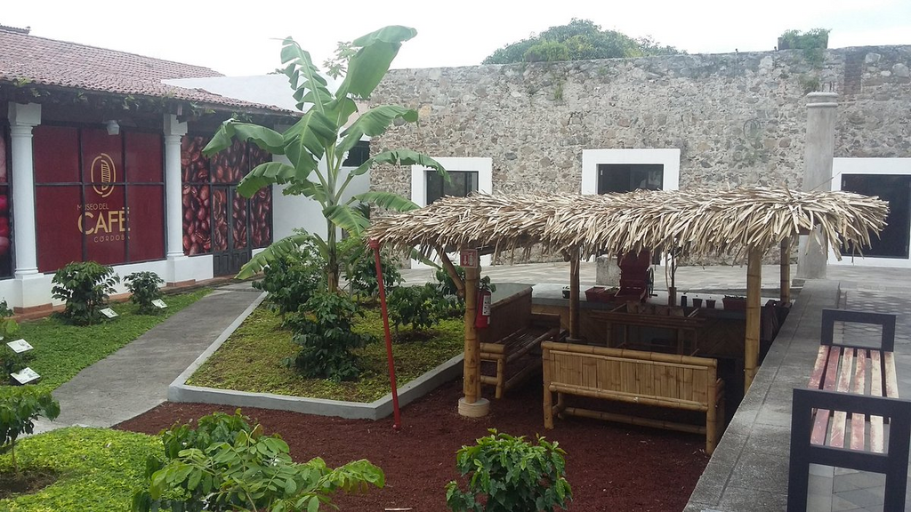 imagen1