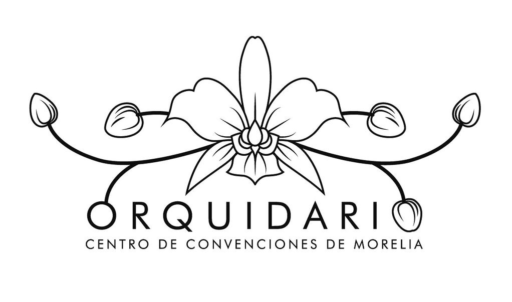 imagen1