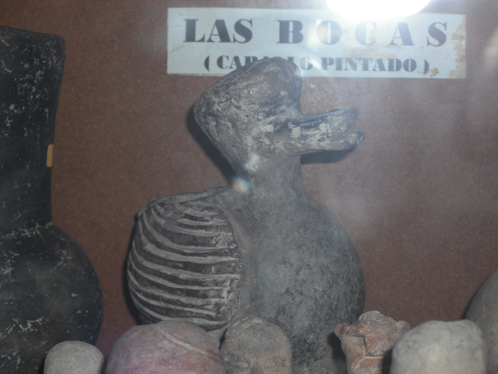 imagen2