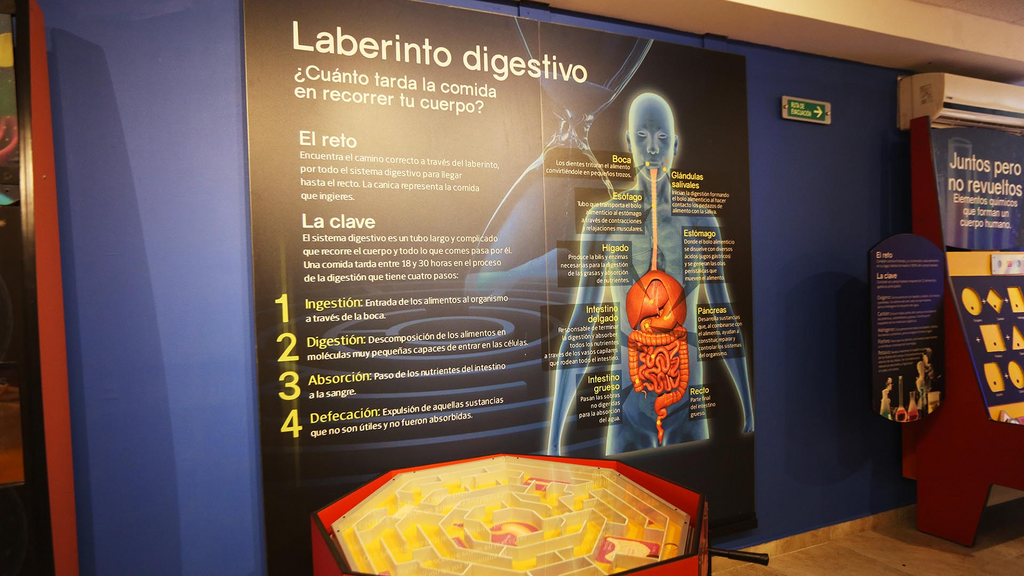 imagen1