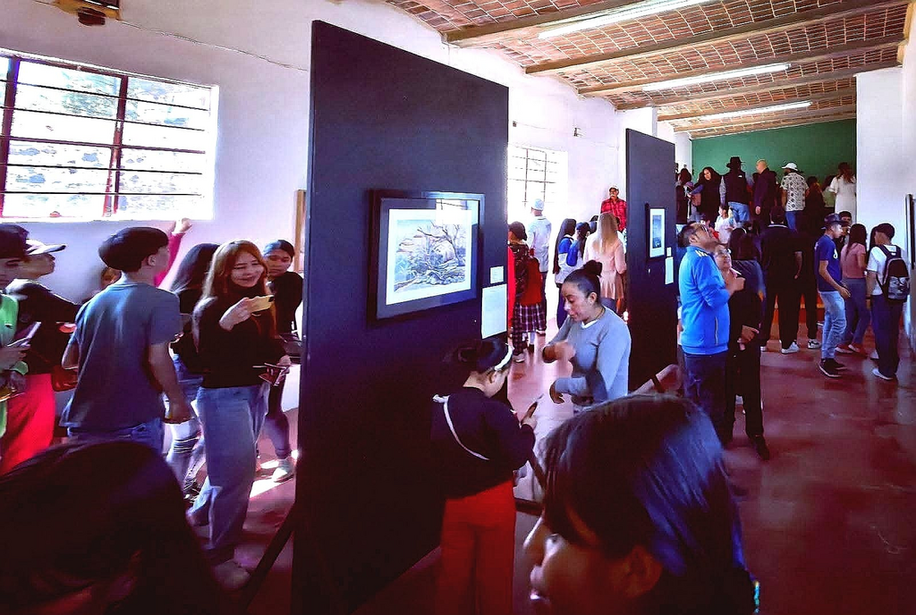 imagen2