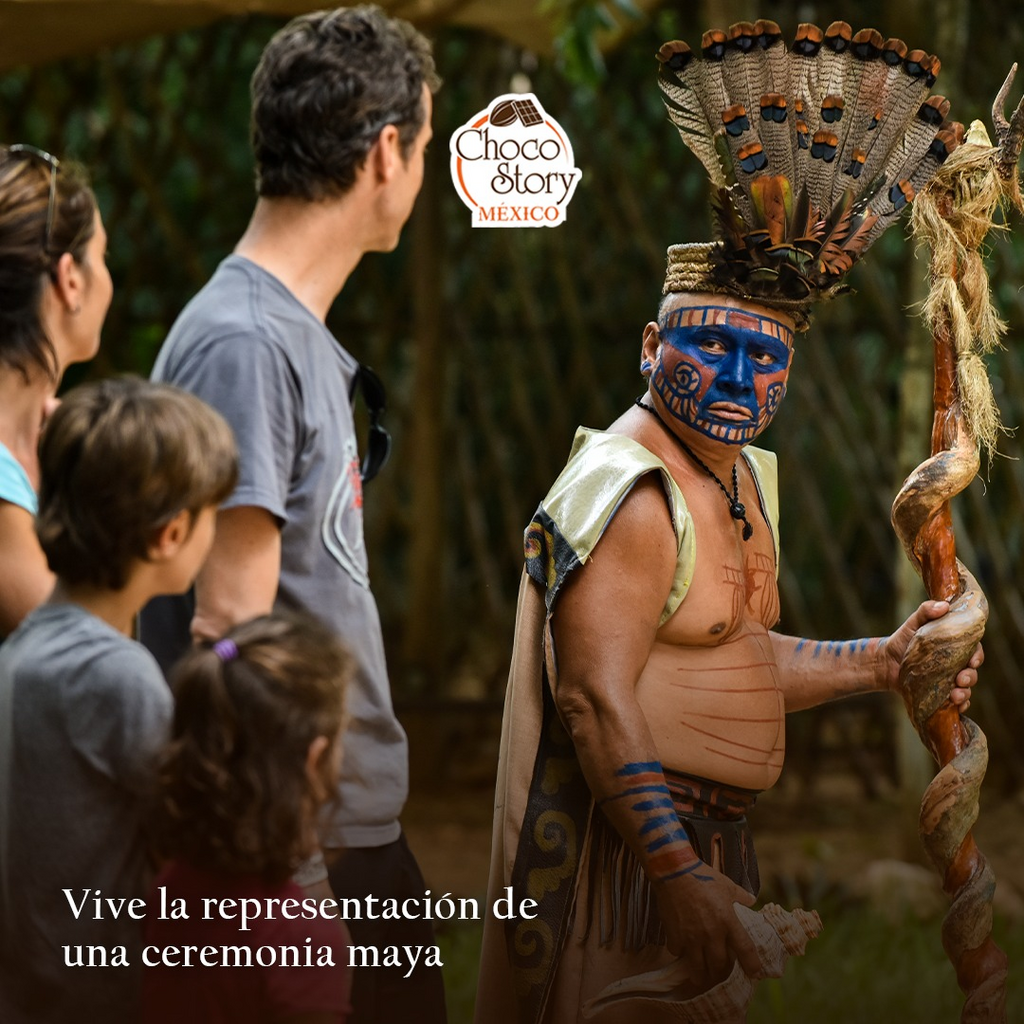 imagen1