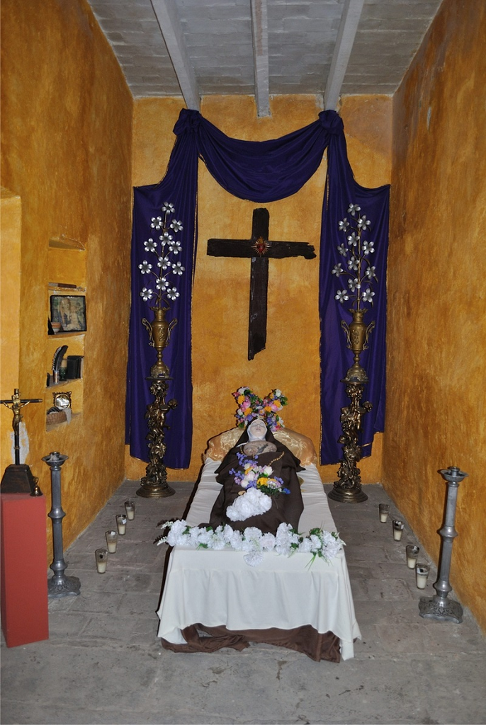 imagen1