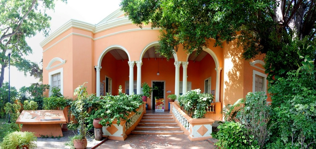 imagen3