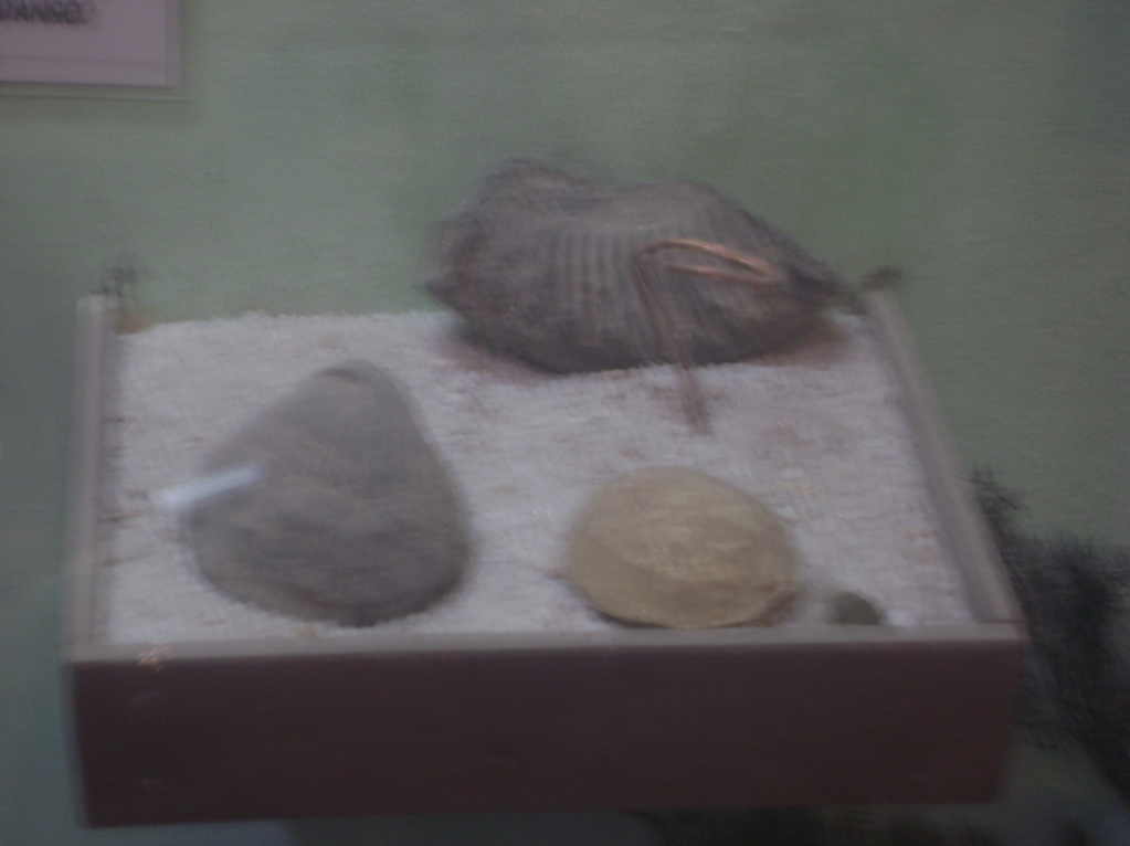 imagen2