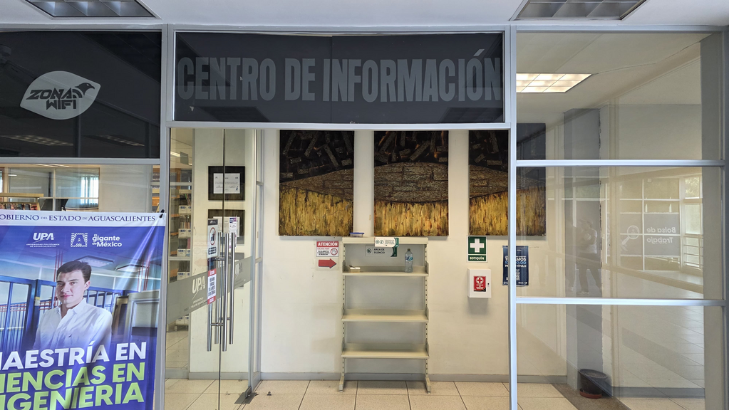 imagen3