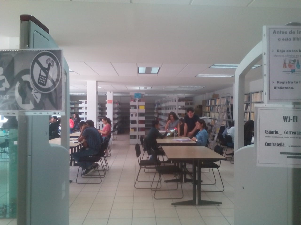 imagen1
