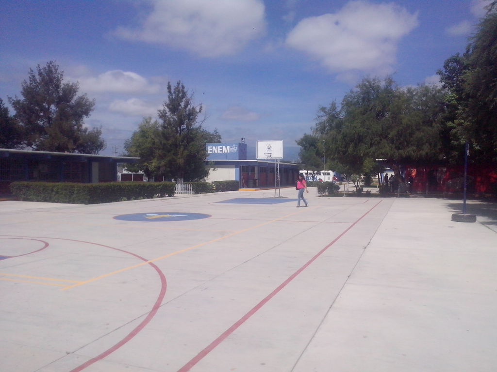 imagen0