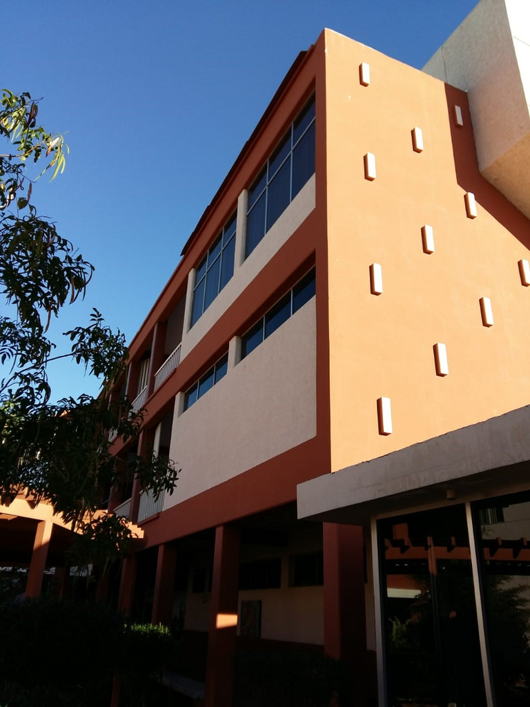 imagen1