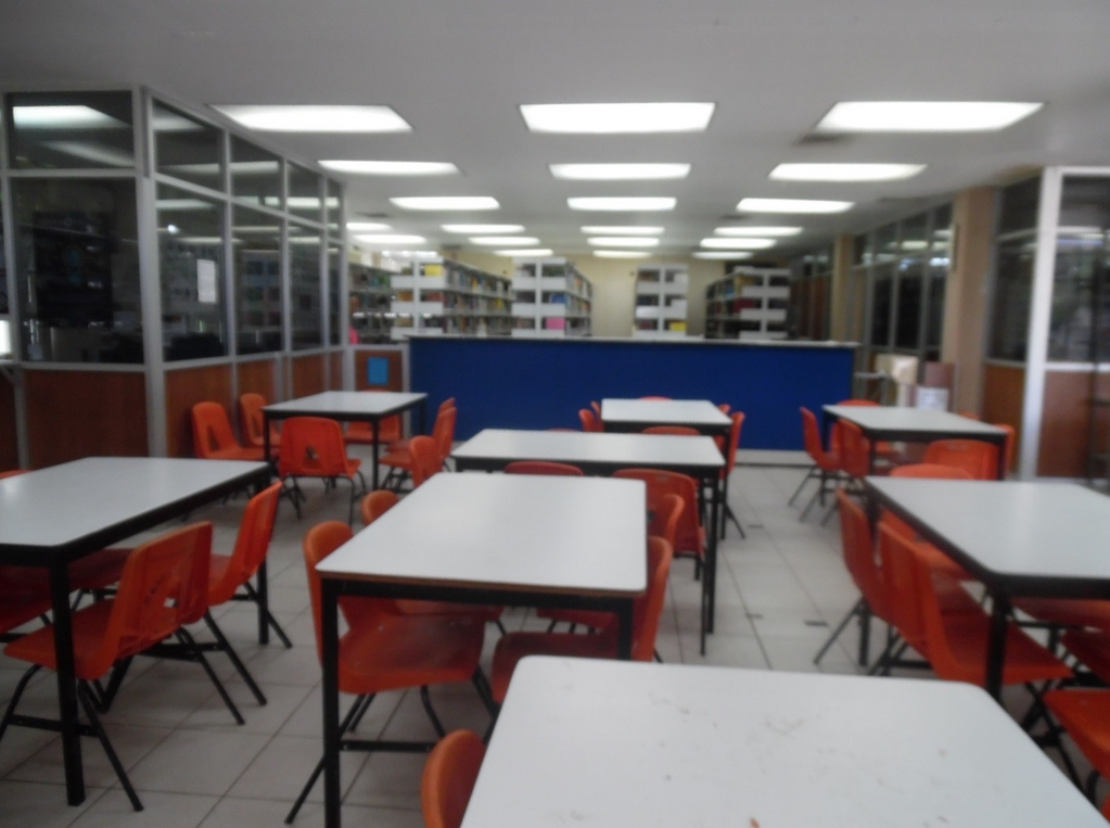 imagen1