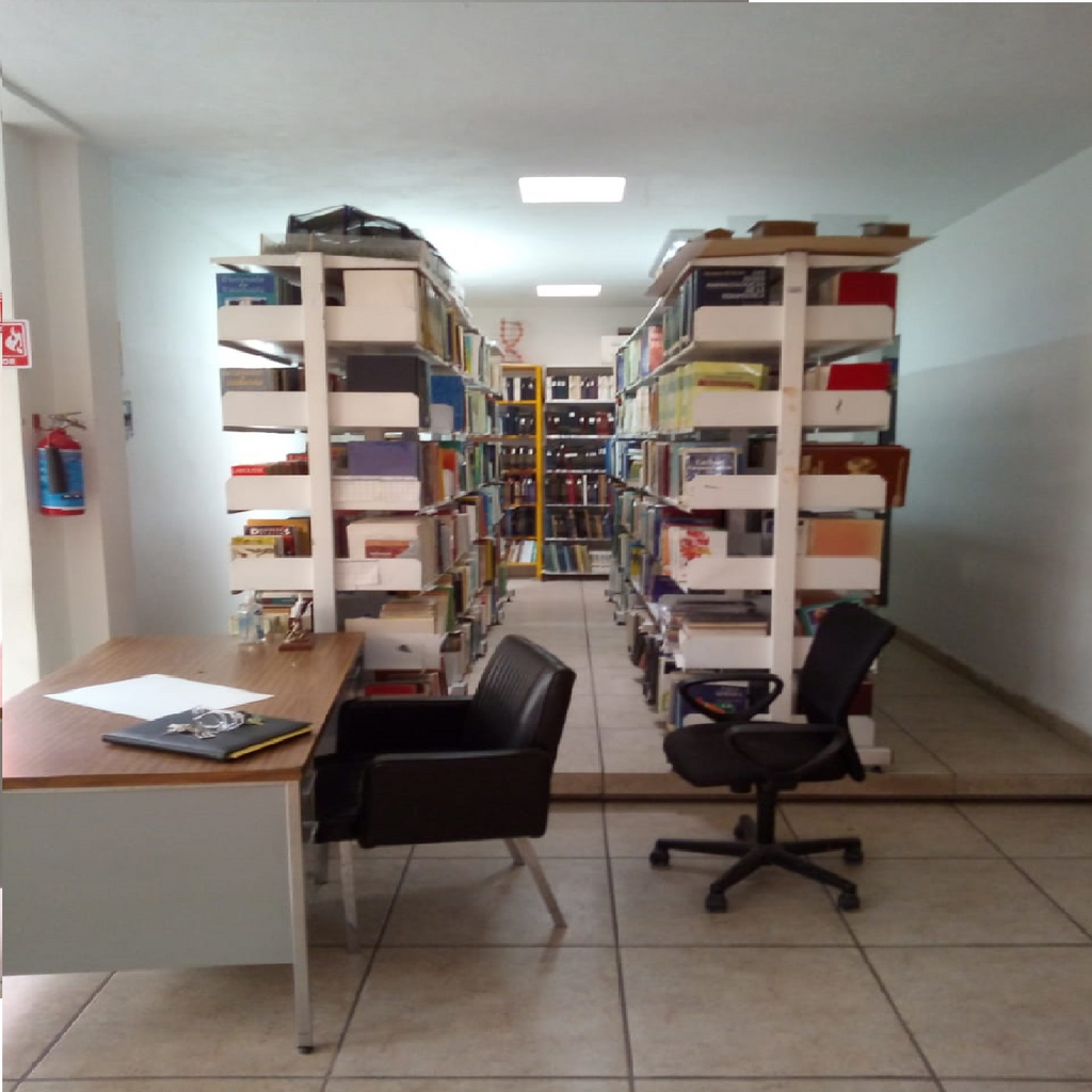 imagen2