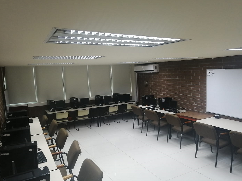imagen1