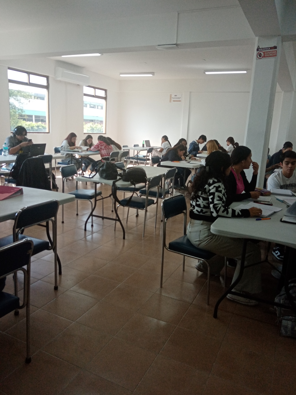 imagen1
