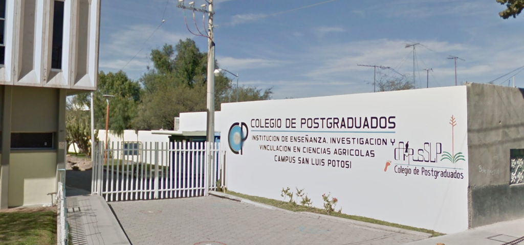 imagen0