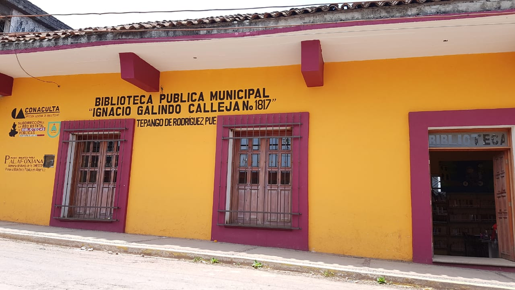 imagen3