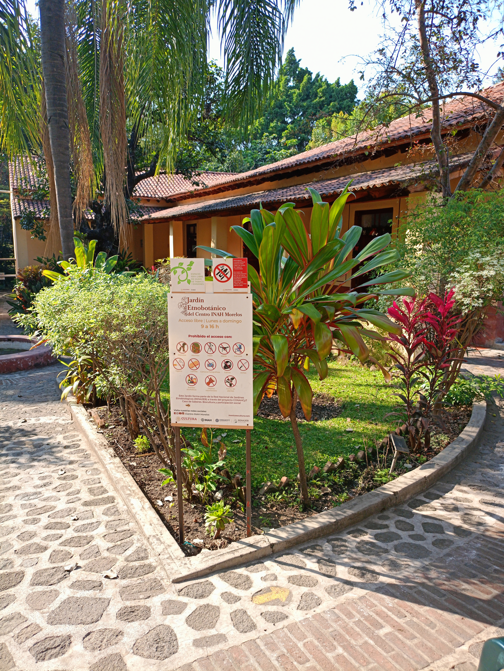 imagen2
