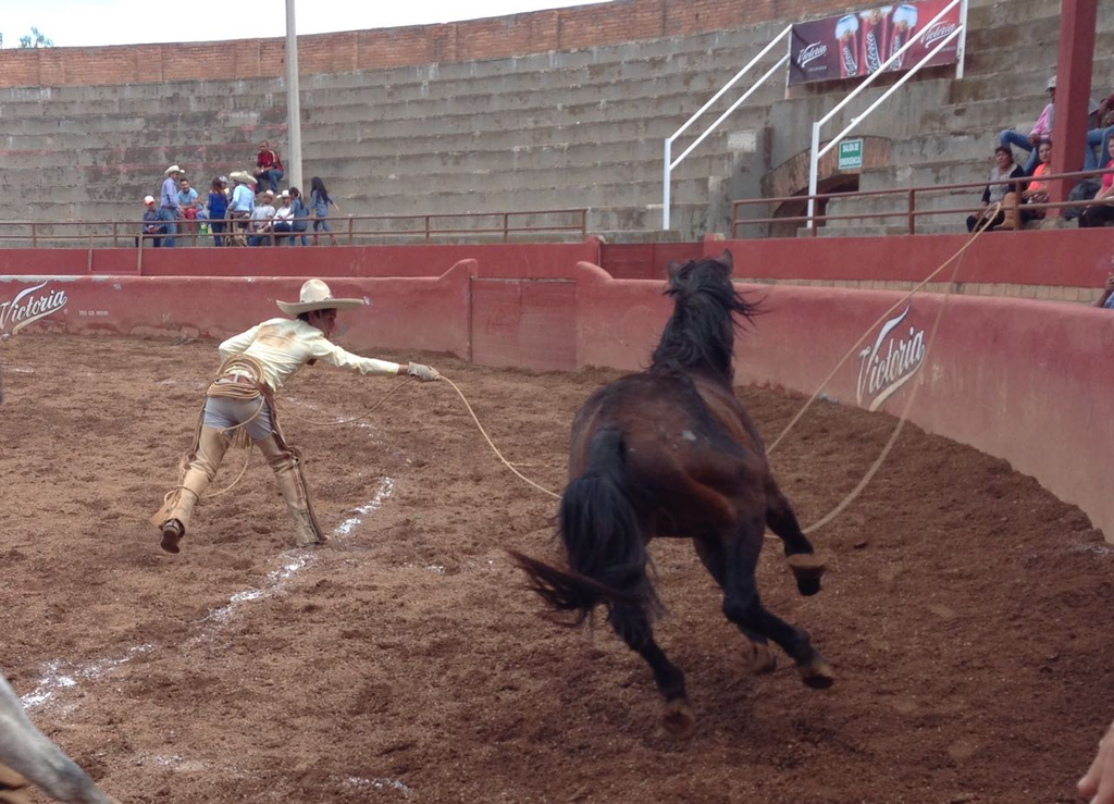 imagen0