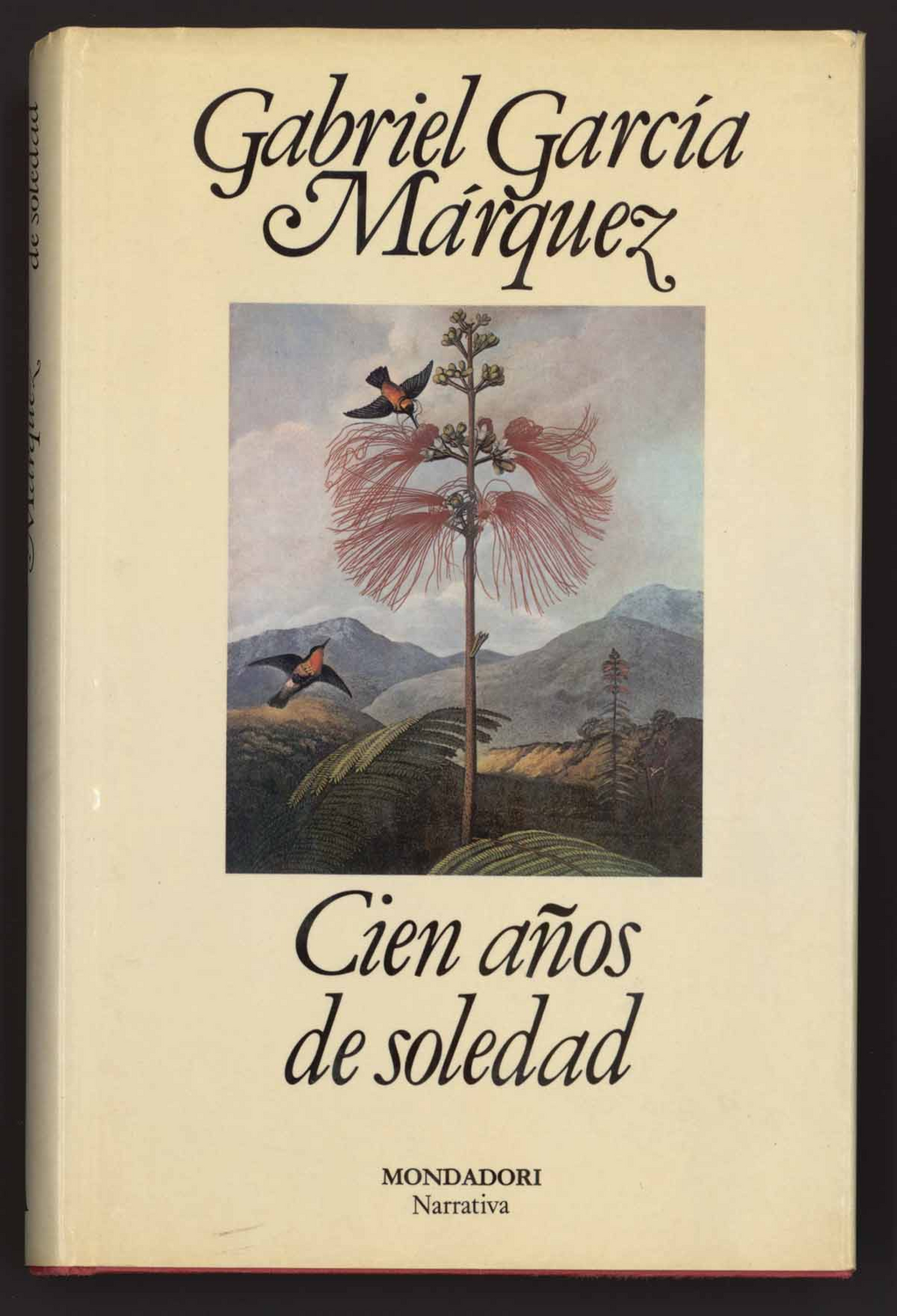 imagen1