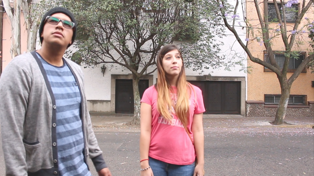 imagen1
