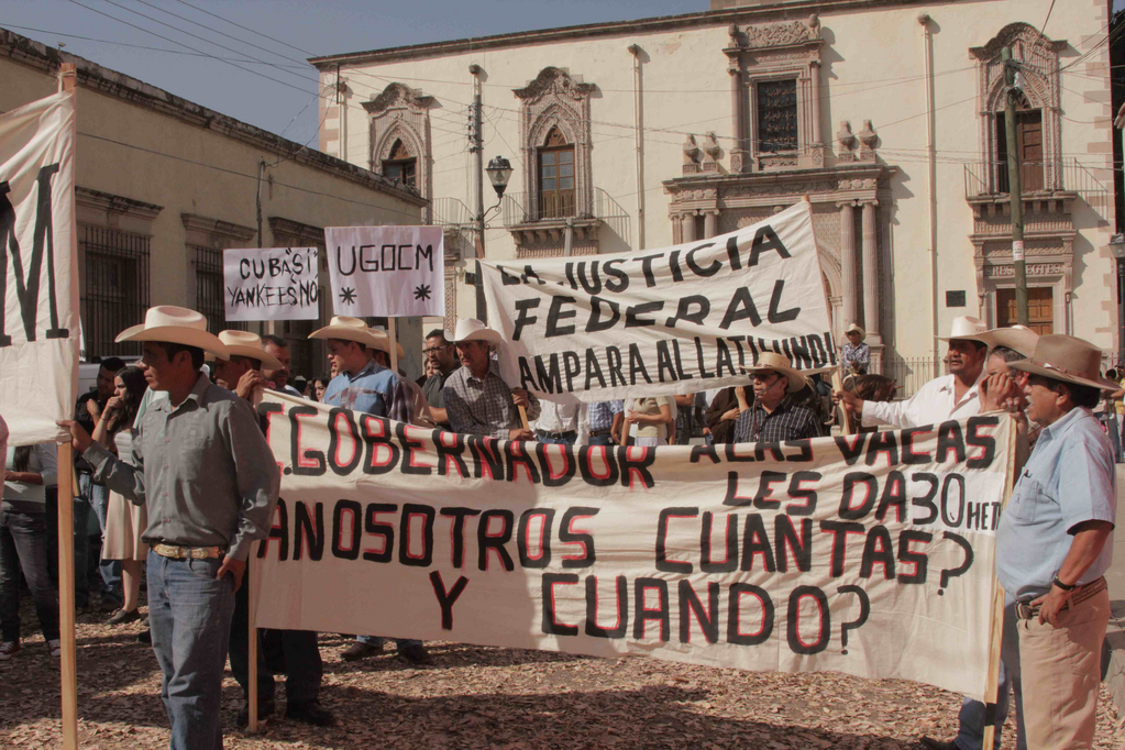 imagen1