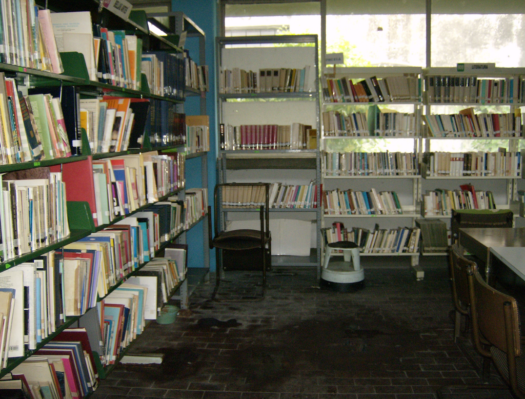 imagen1
