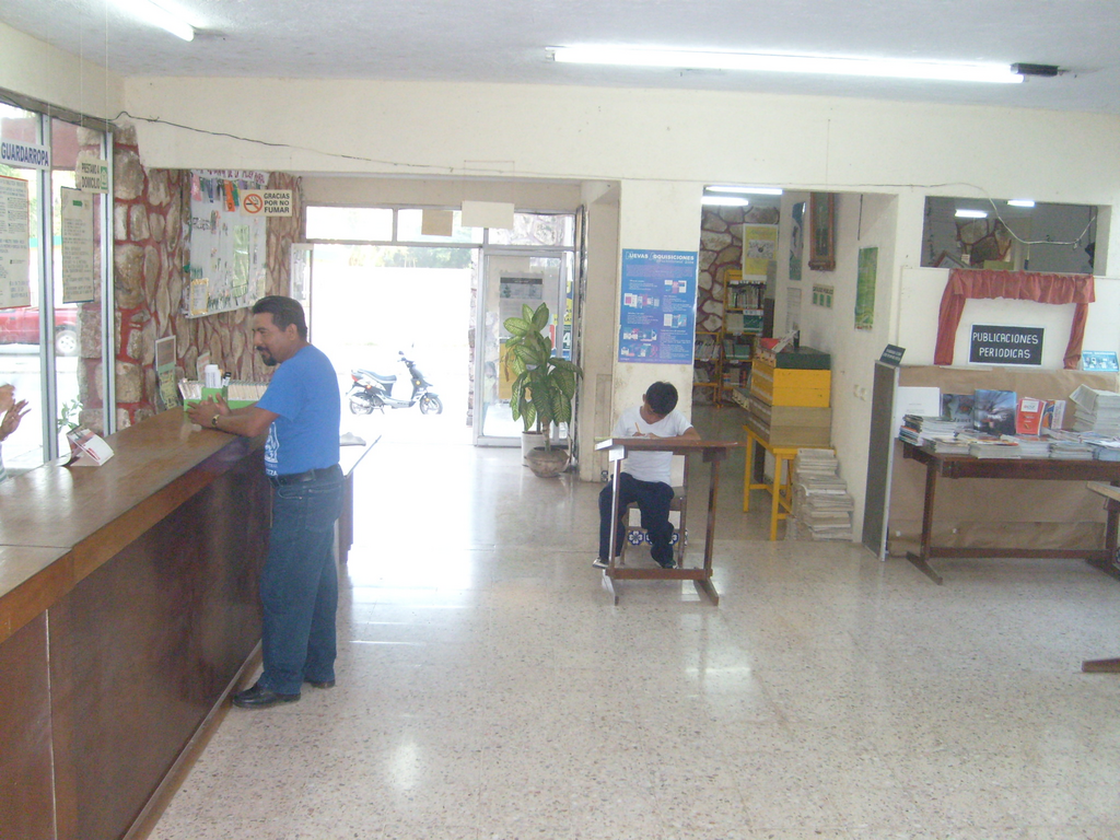 imagen1