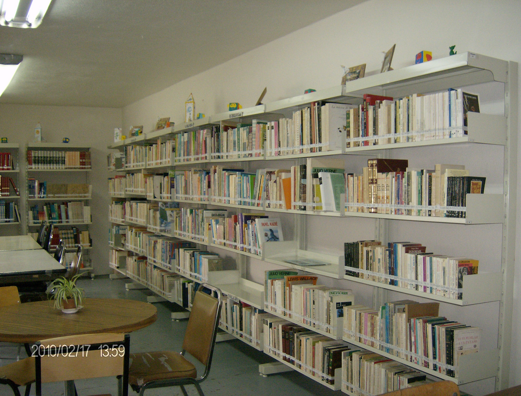 imagen2