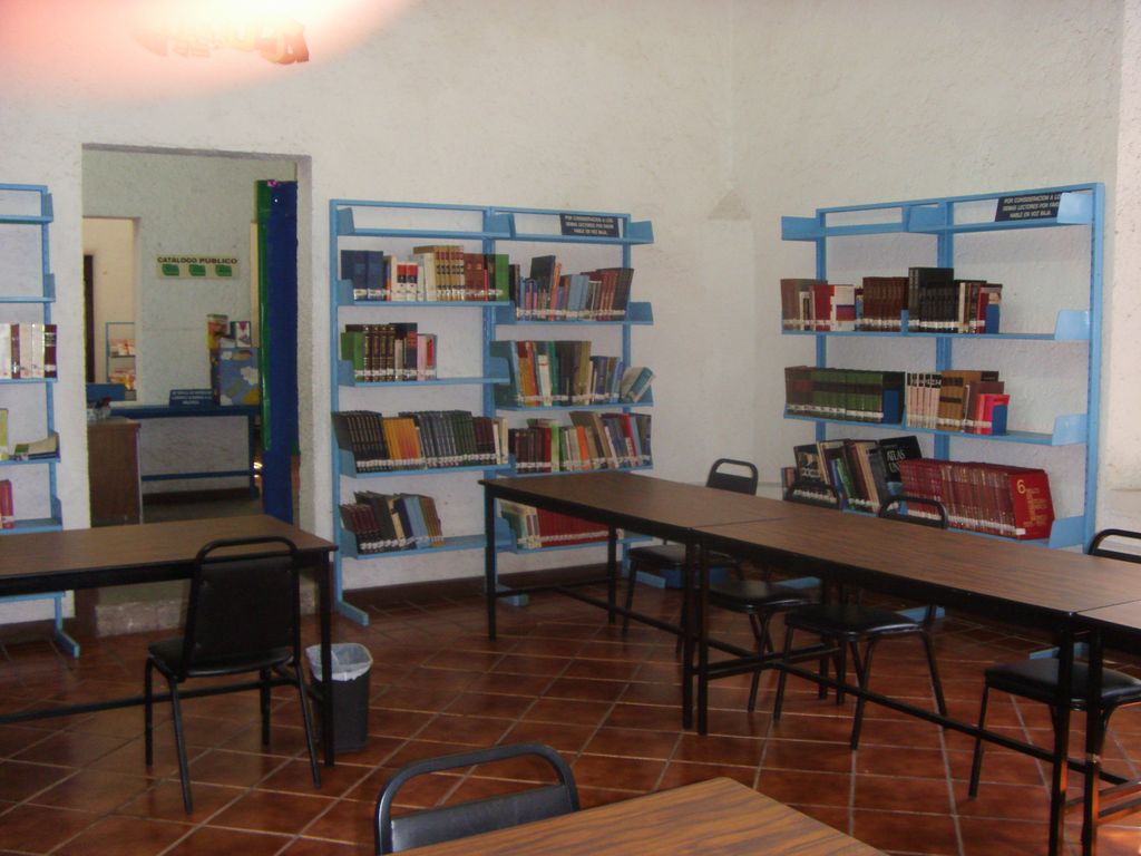 imagen1