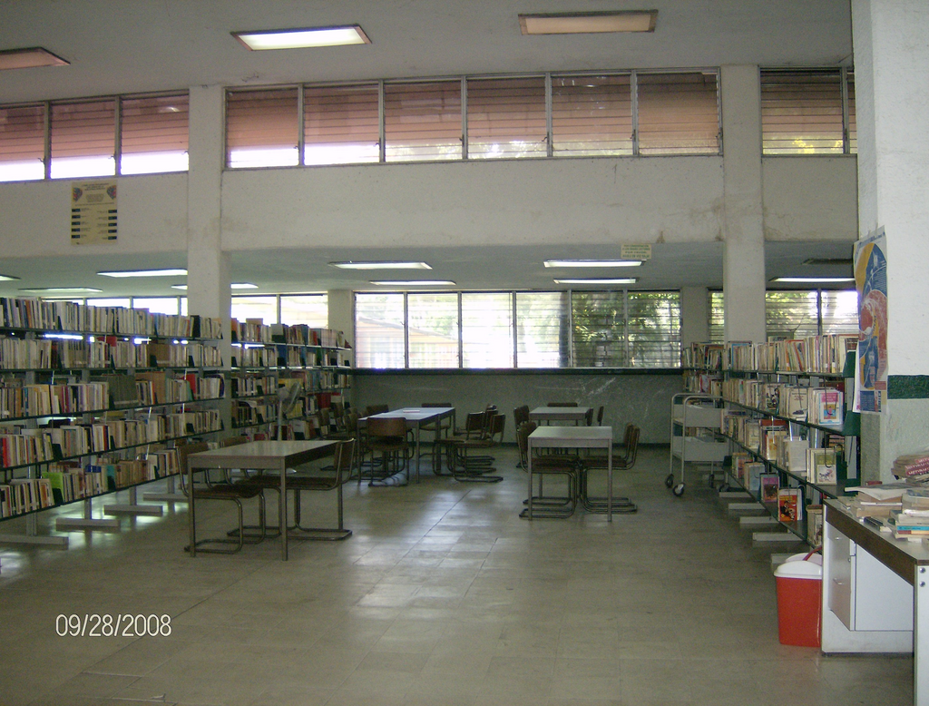 imagen1