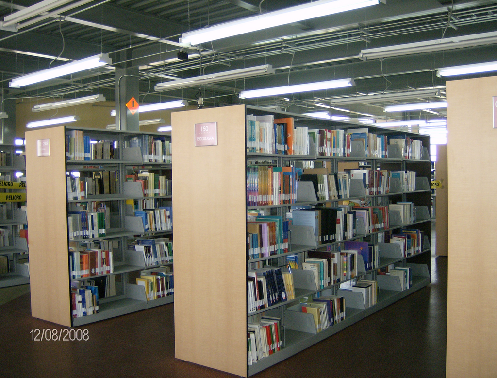 imagen2