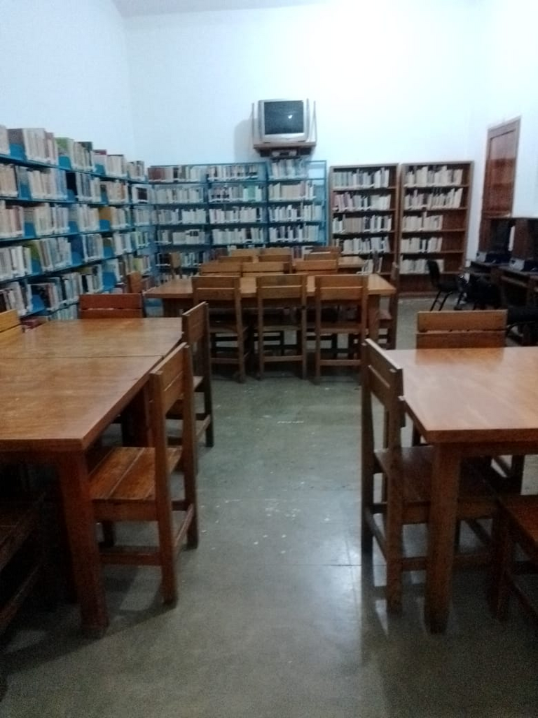 imagen2