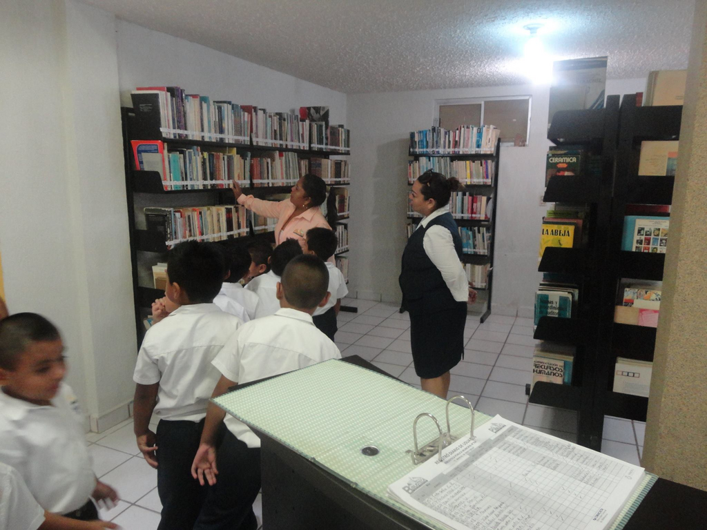 imagen1