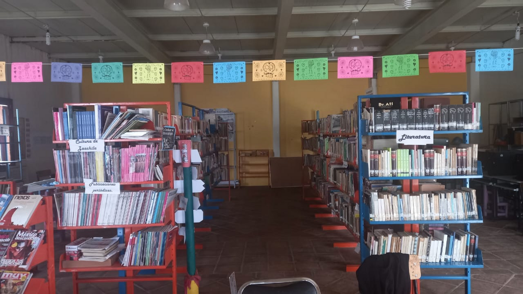 imagen1