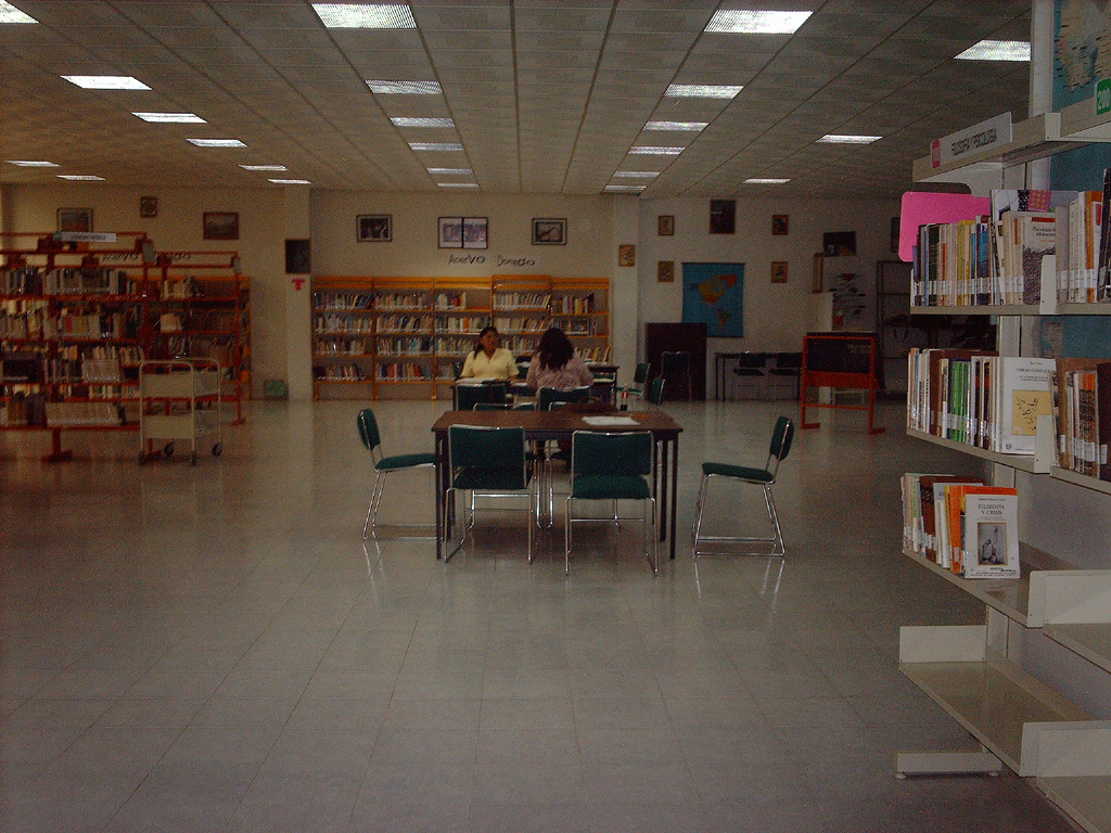 imagen1