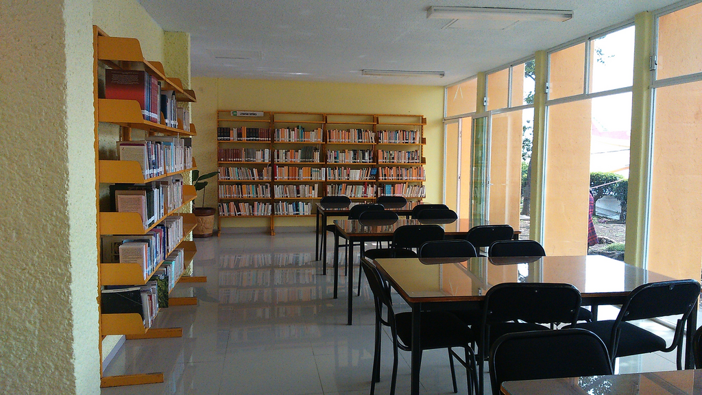 imagen1