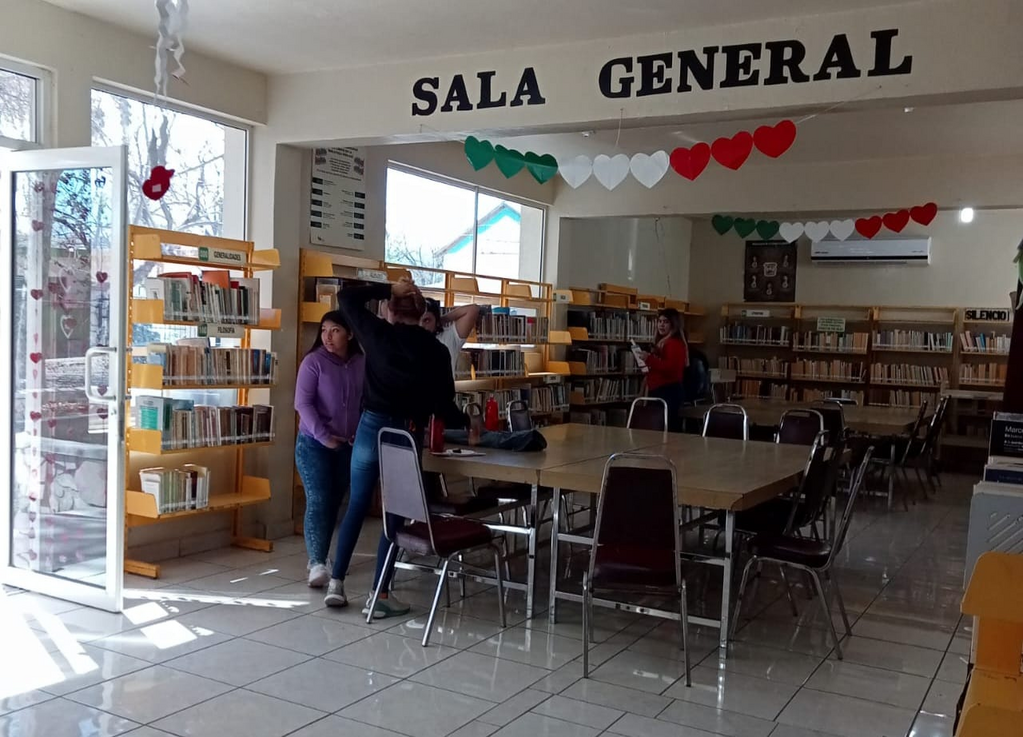 imagen3
