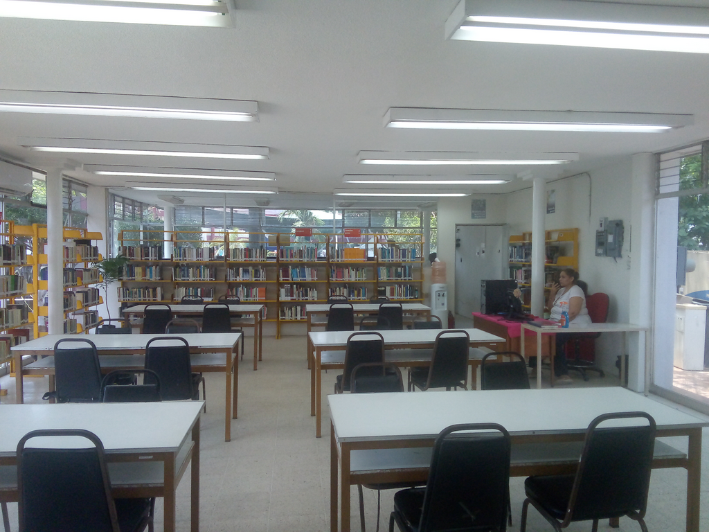 imagen1