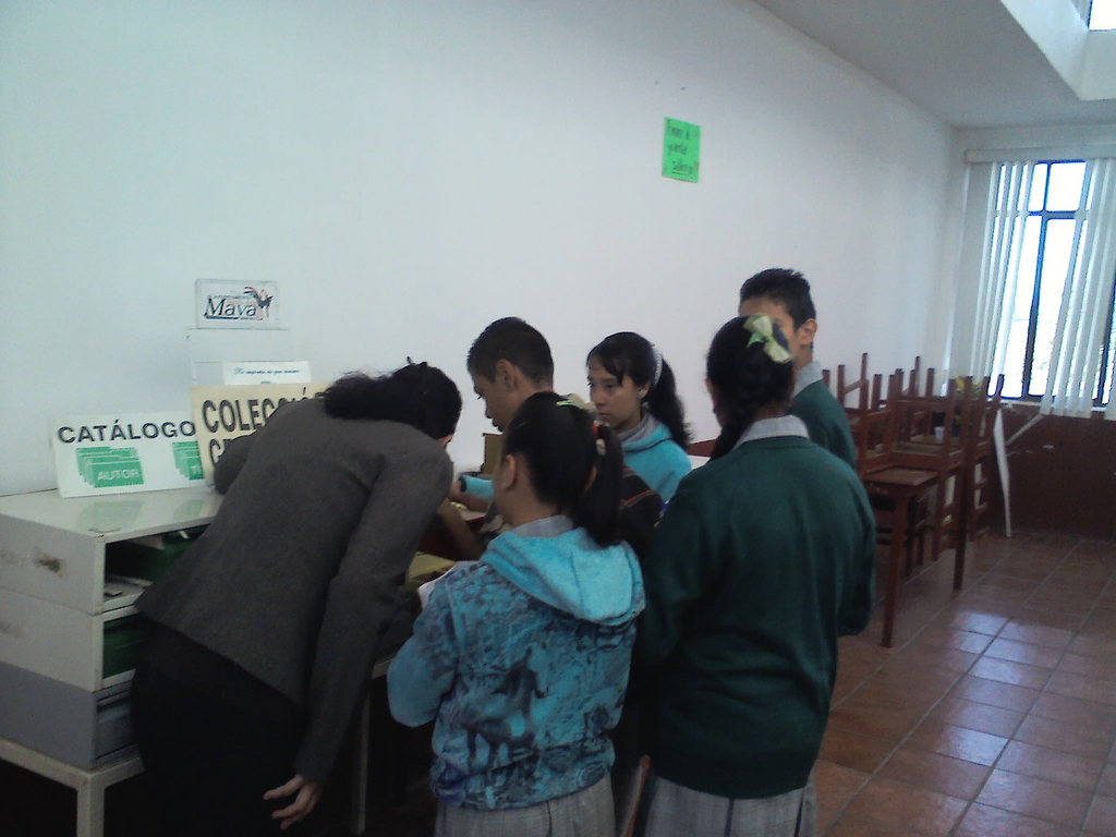 imagen1