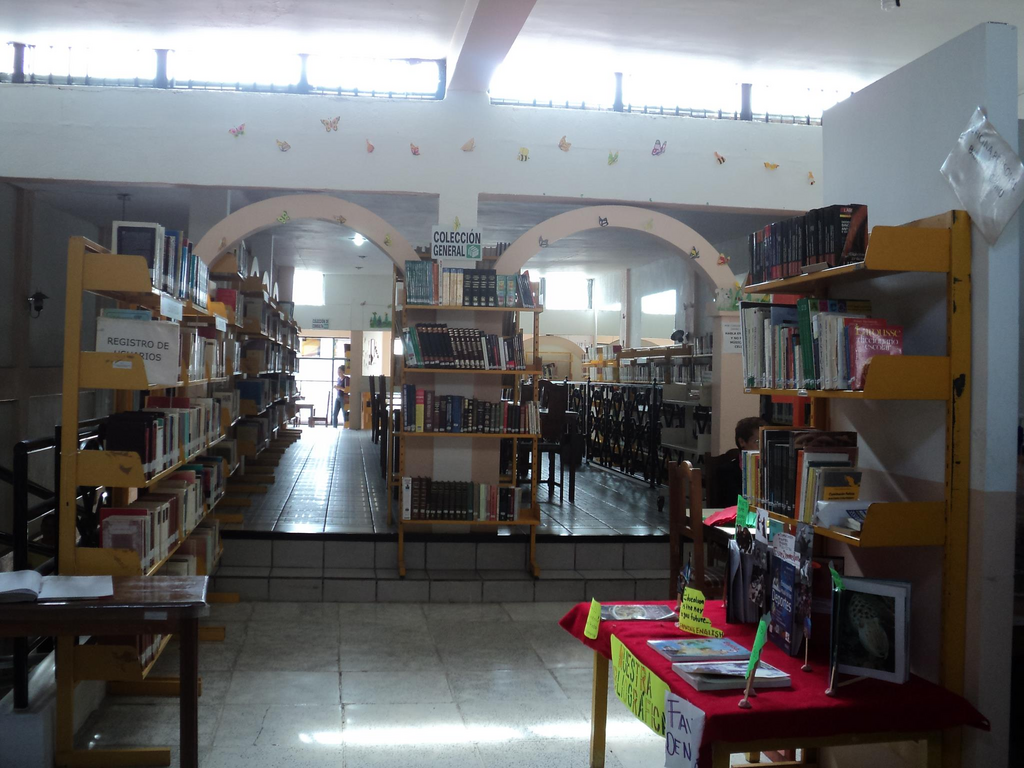 imagen1