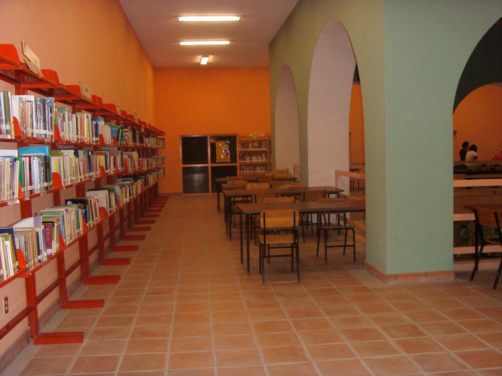 imagen1