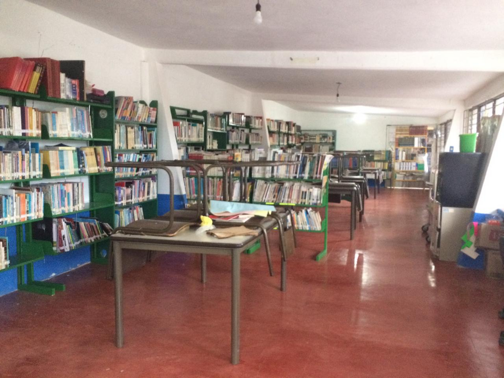 imagen1