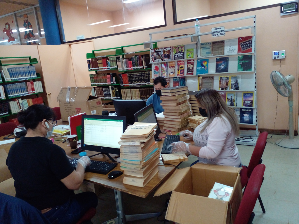 imagen2