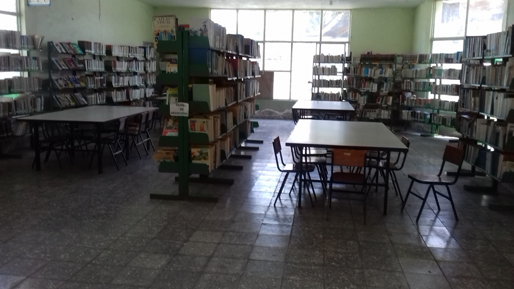 imagen1