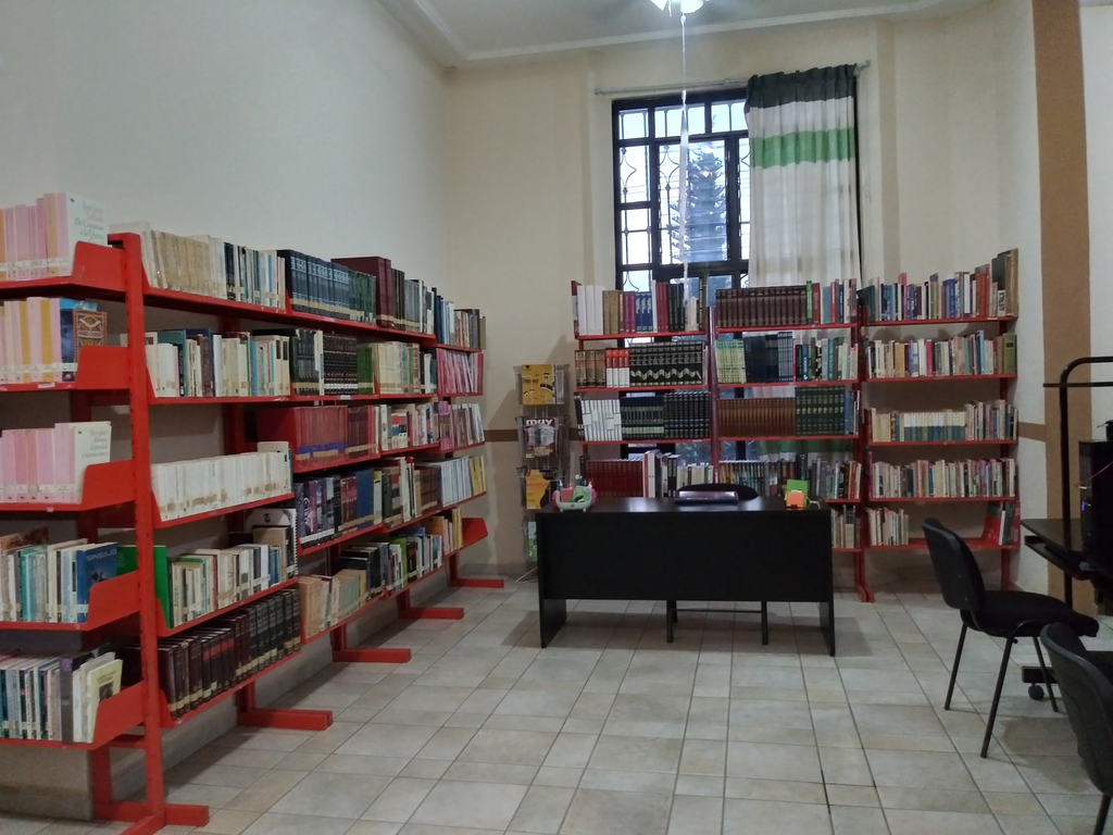imagen2
