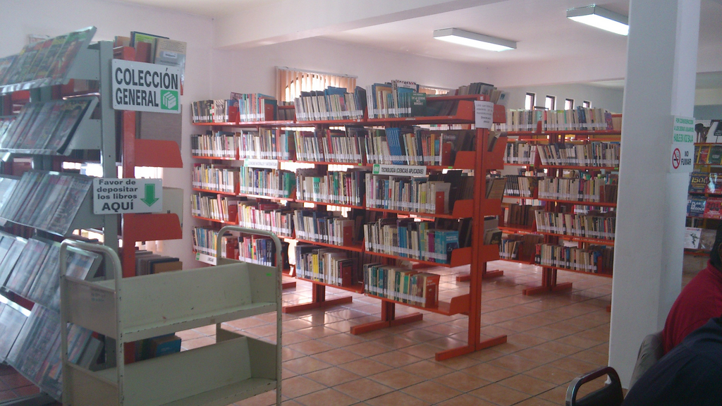 imagen3