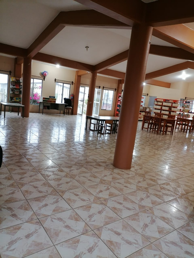 imagen1